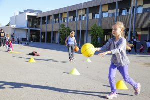 CDQ_LIERLES-FELIBRE_LAVANDINS