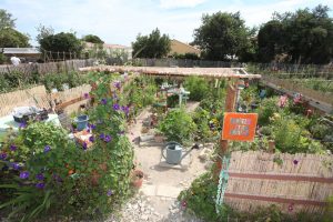 CDQ_LA_PEYRADE_JARDINS_MEREVILLE