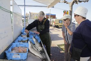 Vente de poissons sur le port