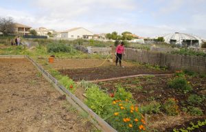 CDQ_VIGNAUX_JARDINS_CALADE
