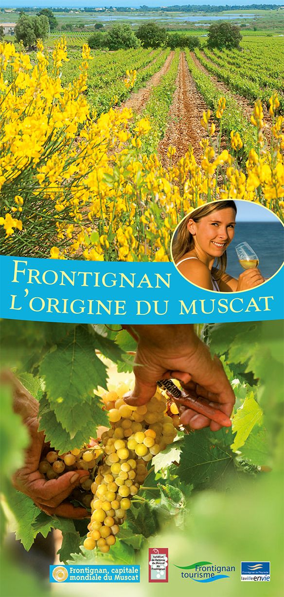 Dépliant Origine du muscat.pdf