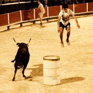 ARENES_TORO_PISCINE