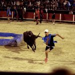 UN ETE EN PHOTOS - 20 juillet 2017 - Toro piscine hebdomadaire 2