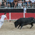 UN ETE EN PHOTOS - 23 juillet 2017 - Festival du Muscat - Course Camarguaise