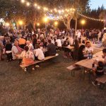 UN ETE EN PHOTOS_25 juillet 2017 - Festival de Thau_2