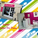 JNCPA 2017 - Institut - Au Bonheur des Dames