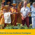 Rose Frontignan