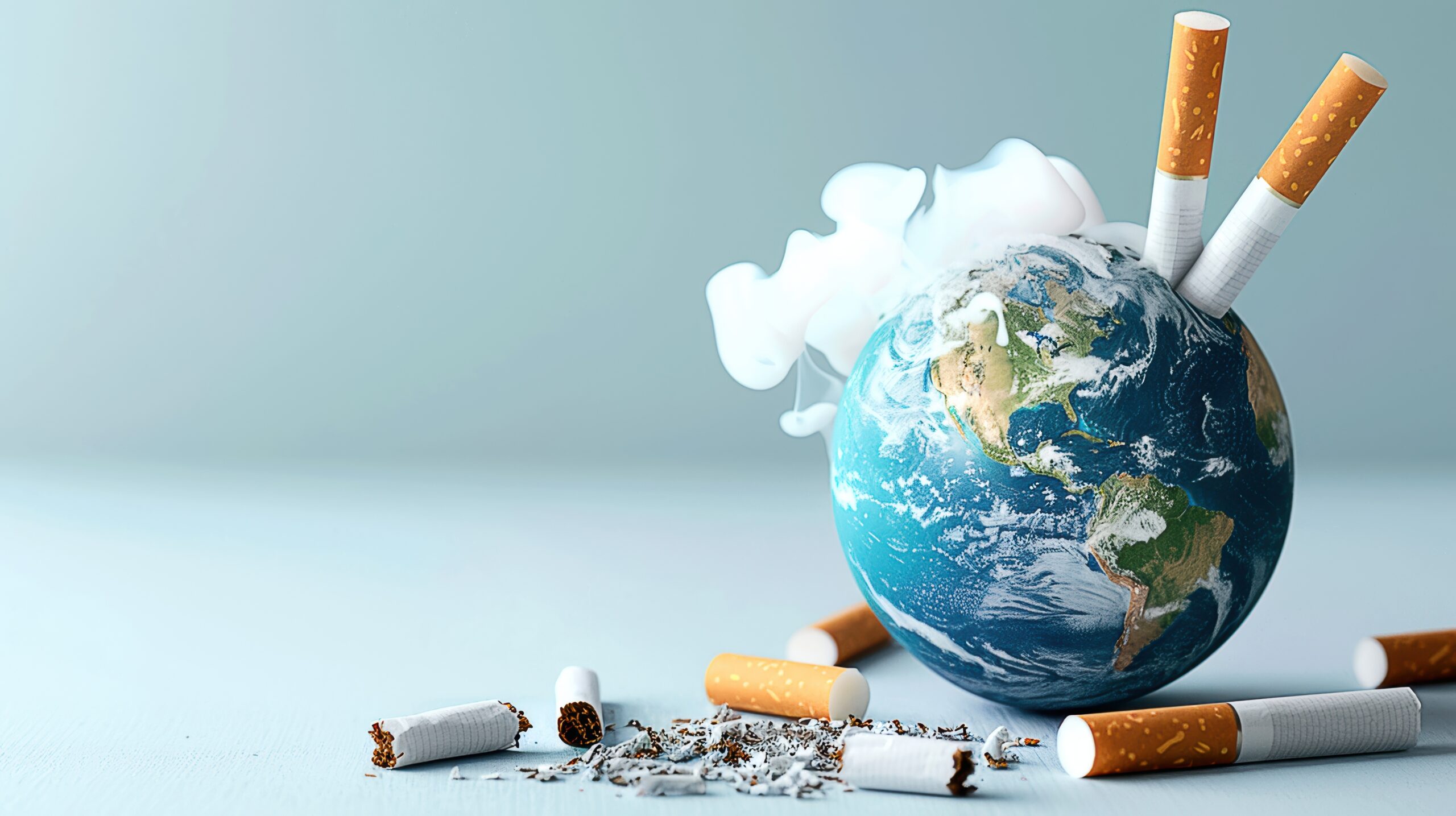 FLP MAG #36  Mgots : la lutte fait un tabac - Frontignan la Peyrade
