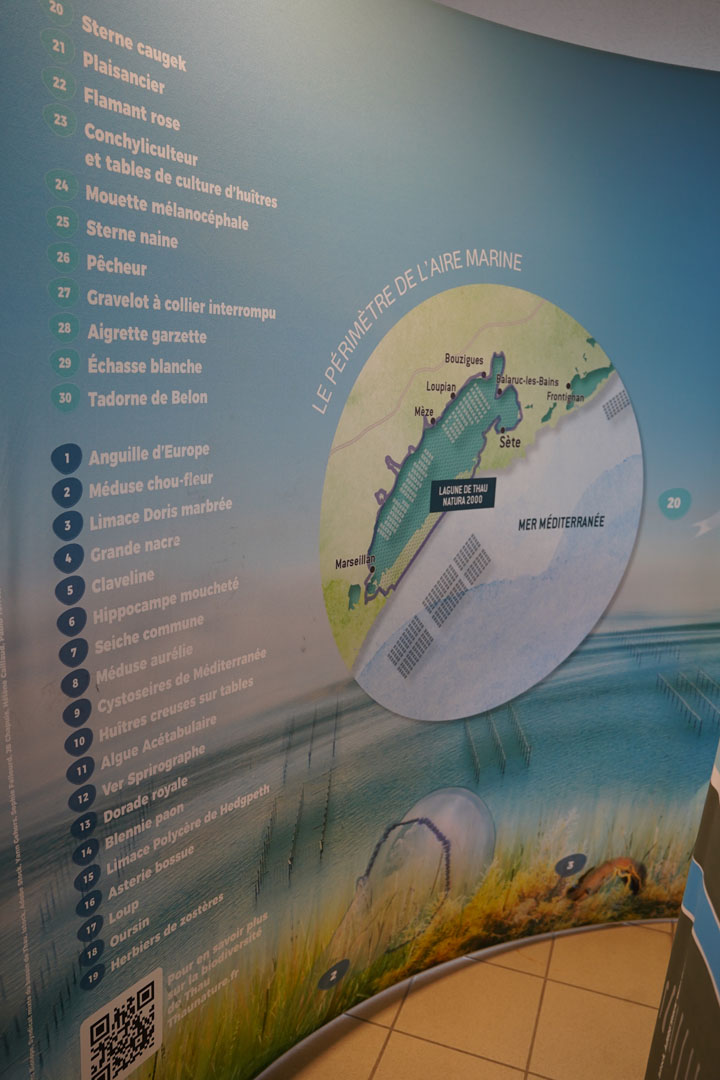 250704_EXPO_SMBT_AL (10)