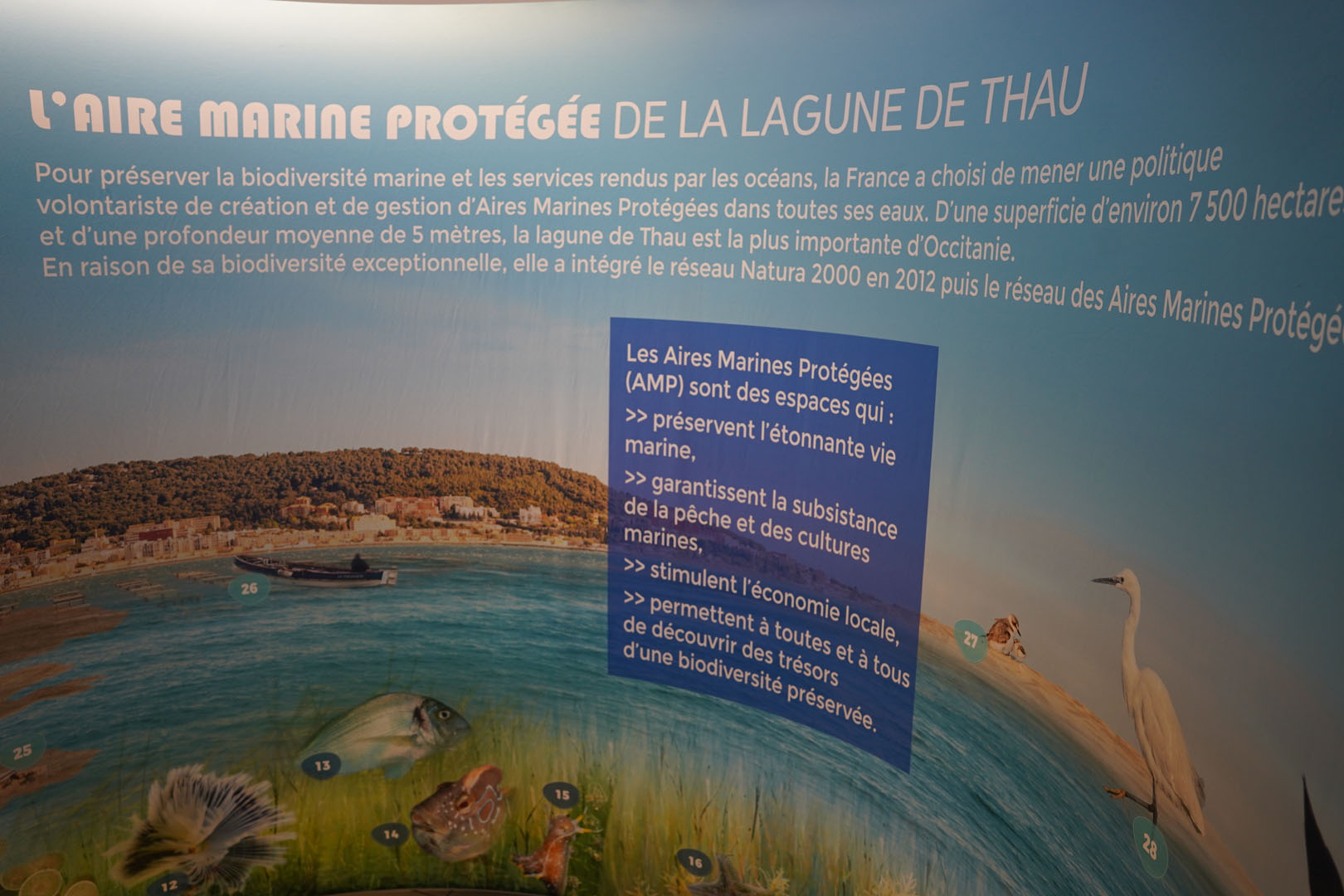 250704_EXPO_SMBT_AL (11)