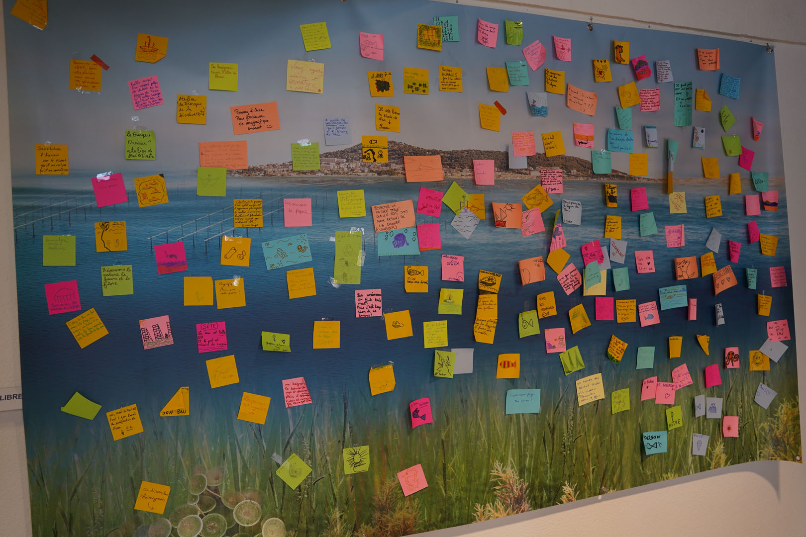 250704_EXPO_SMBT_AL (3)