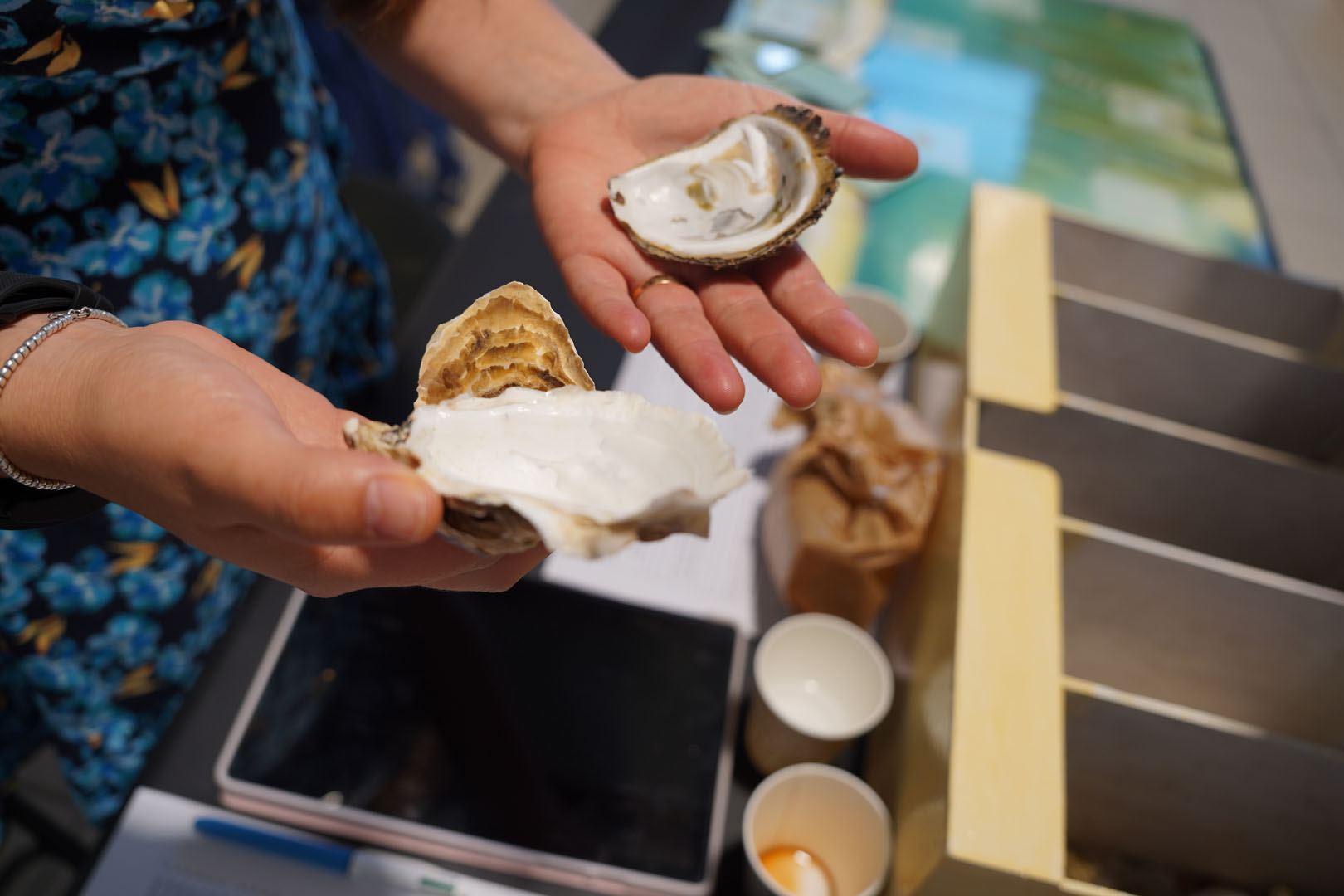 250704_EXPO_SMBT_AL (6)