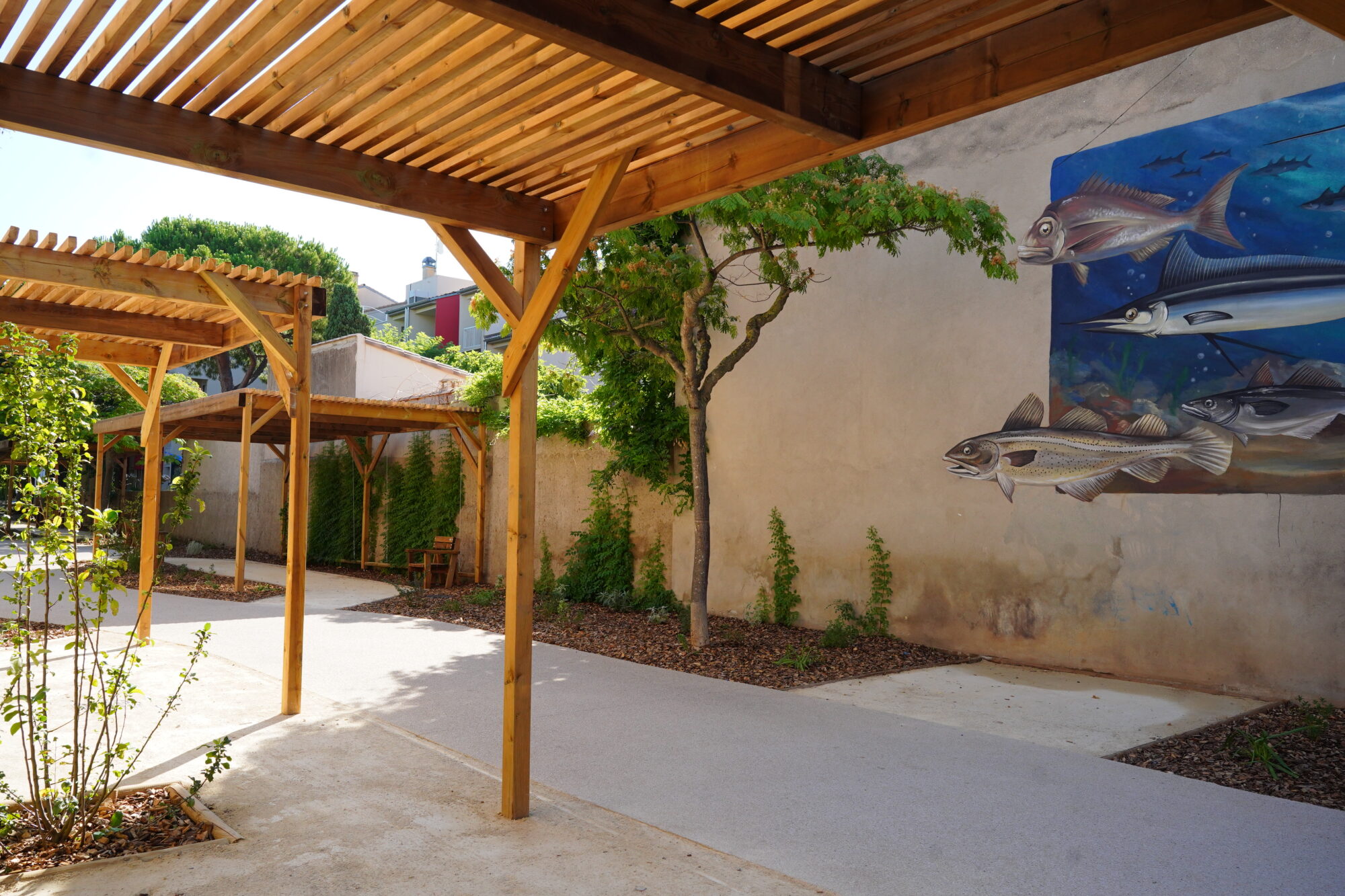 250711_PASSAGE_DAUDET_DELEMOTTE (27)