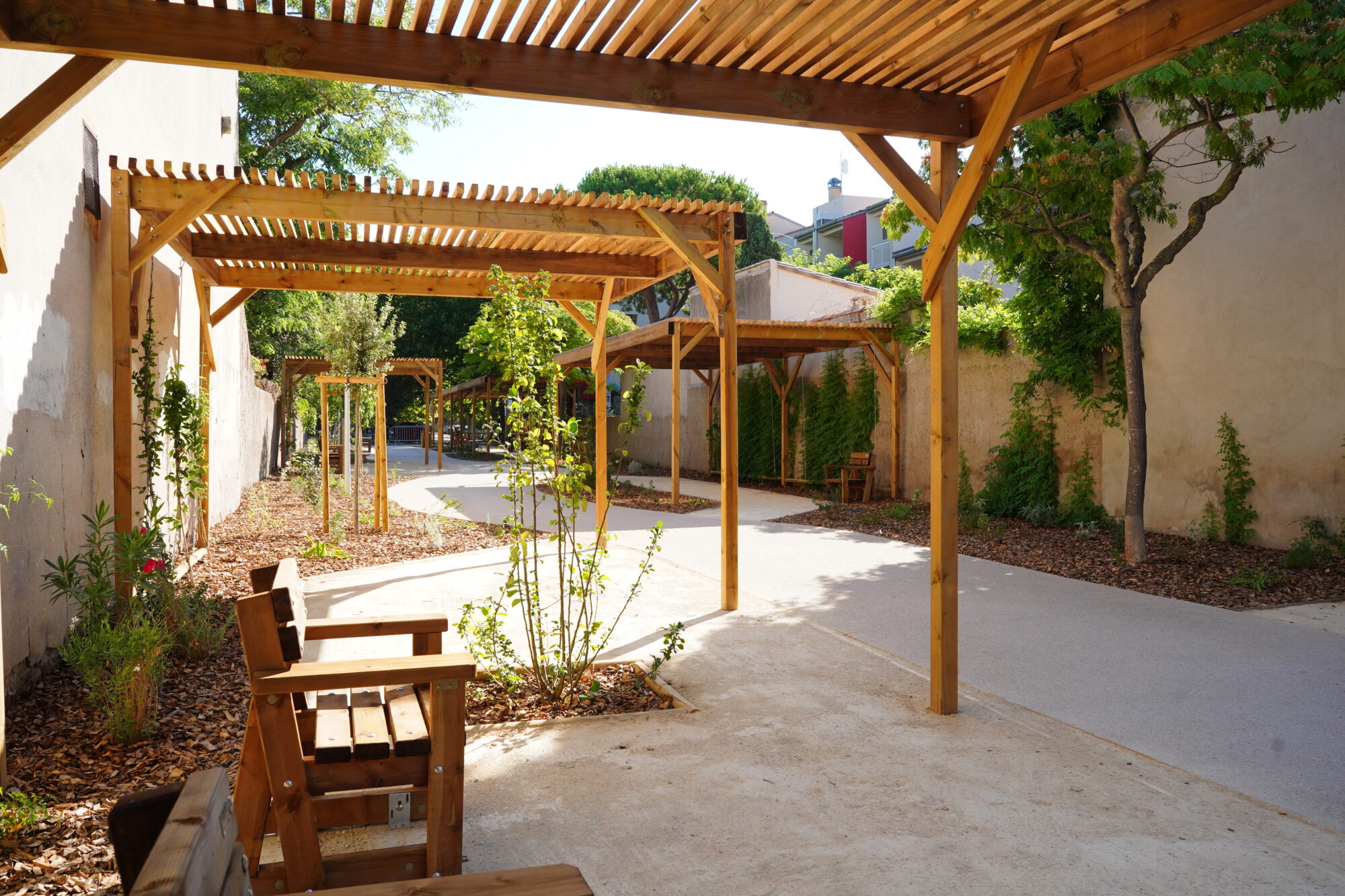 250711_PASSAGE_DAUDET_DELEMOTTE (28)