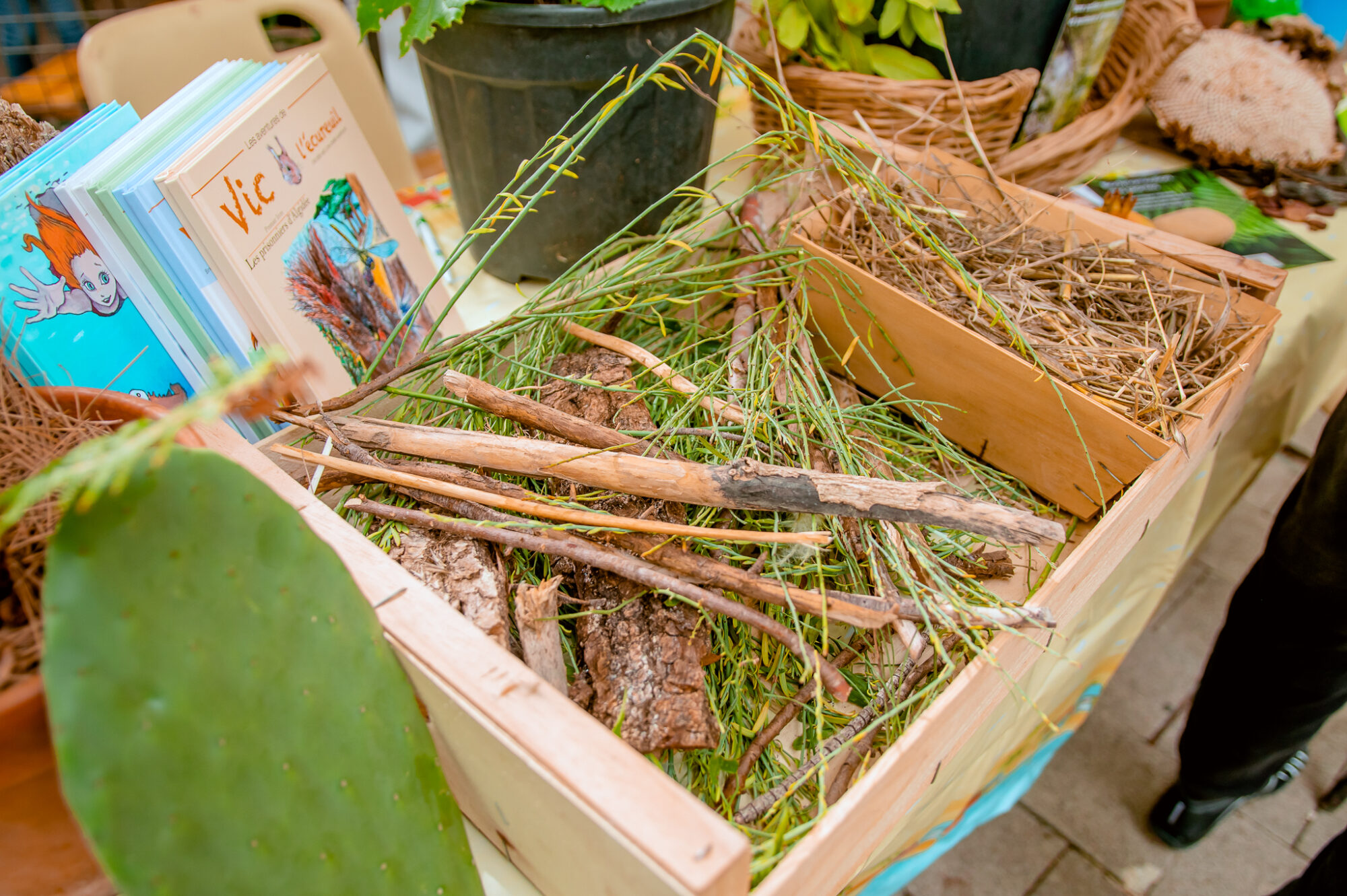 28_09_25_VILLAGE_DE_LA_SOBRIETE_FRONTIGNAN_MOLINA-05