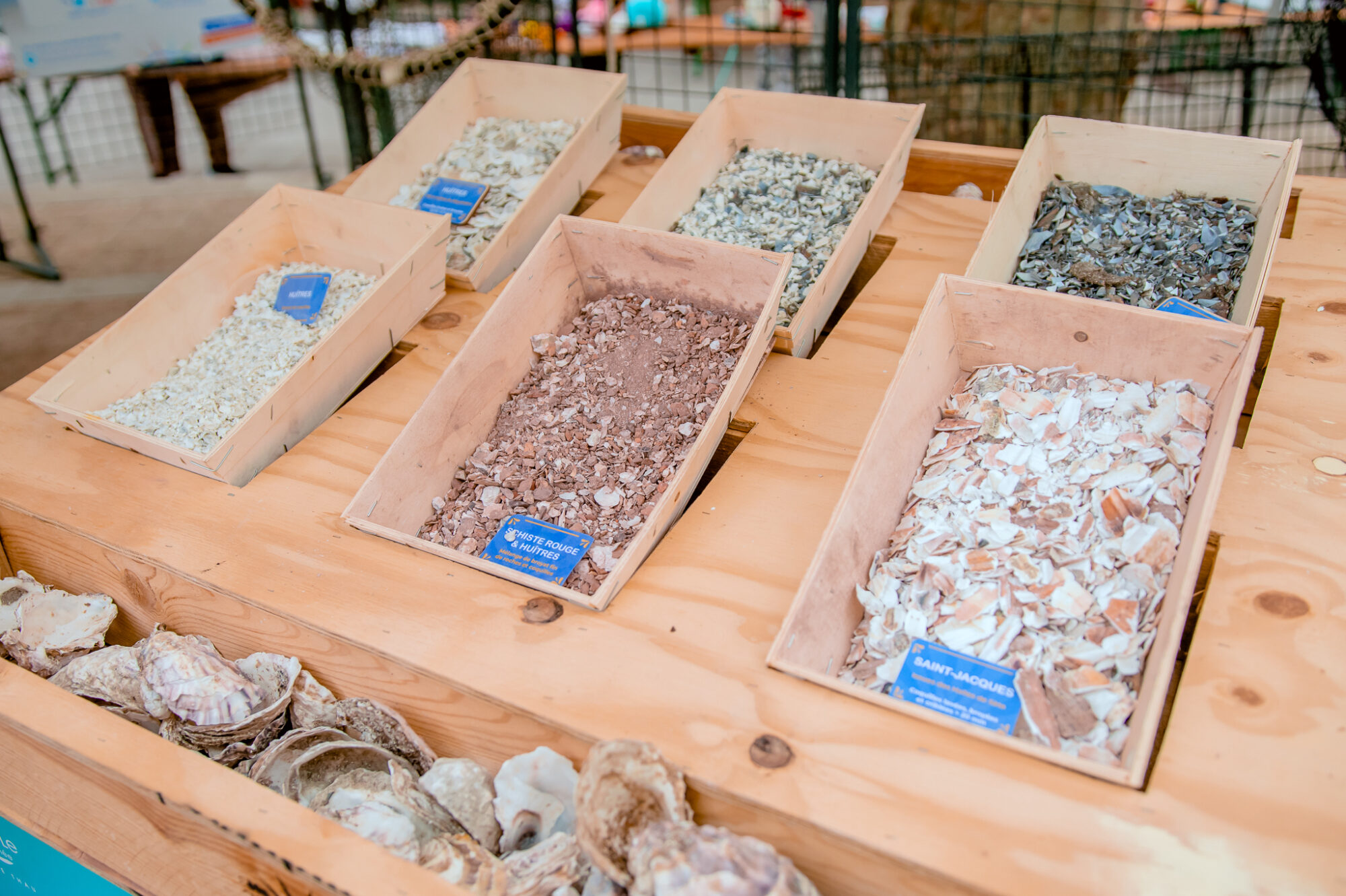 28_09_25_VILLAGE_DE_LA_SOBRIETE_FRONTIGNAN_MOLINA-17