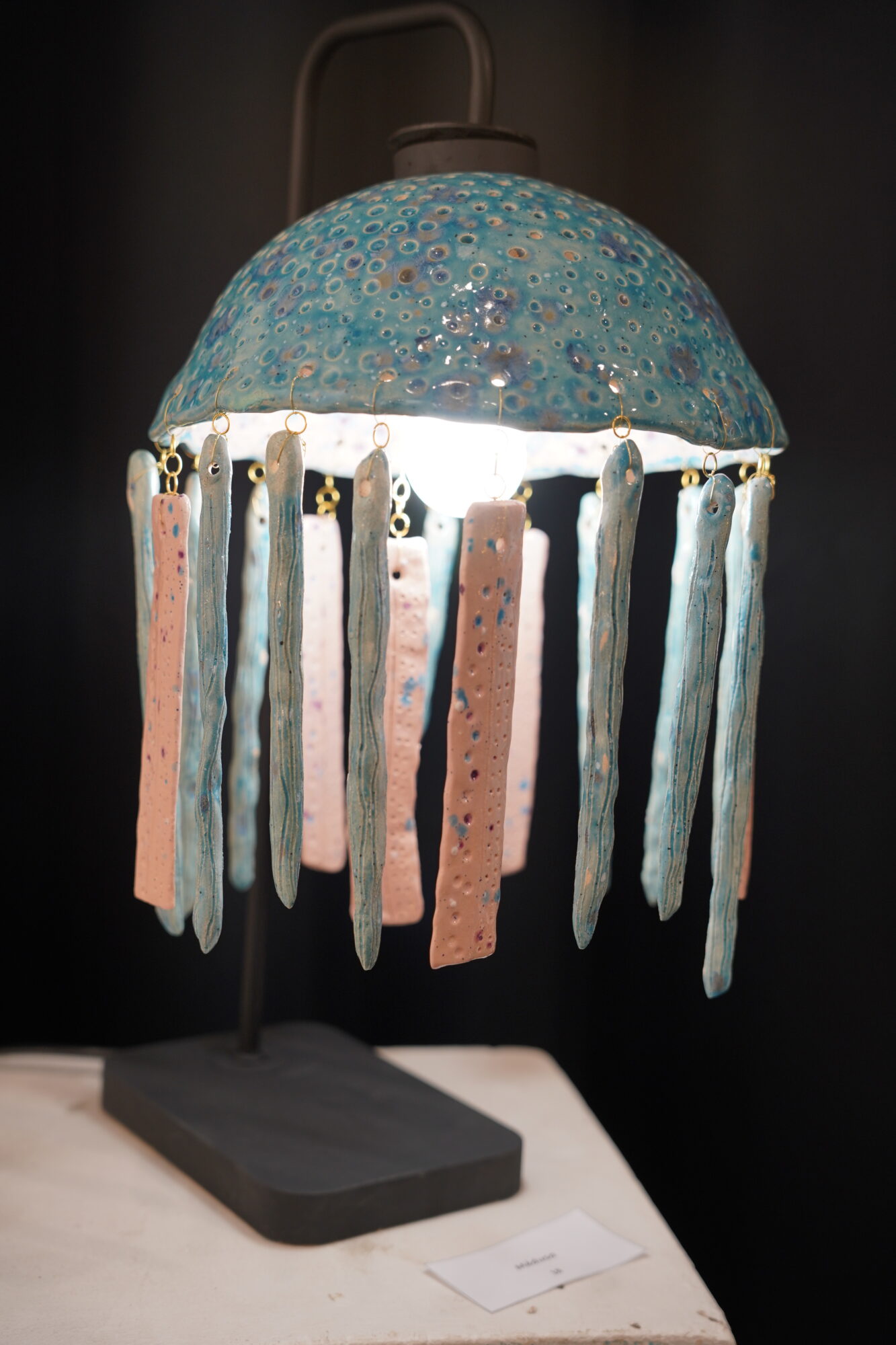 251114_VERNISSAGE_VIVRE_LA_TERRE_LUMIERE_PORLAN (45)