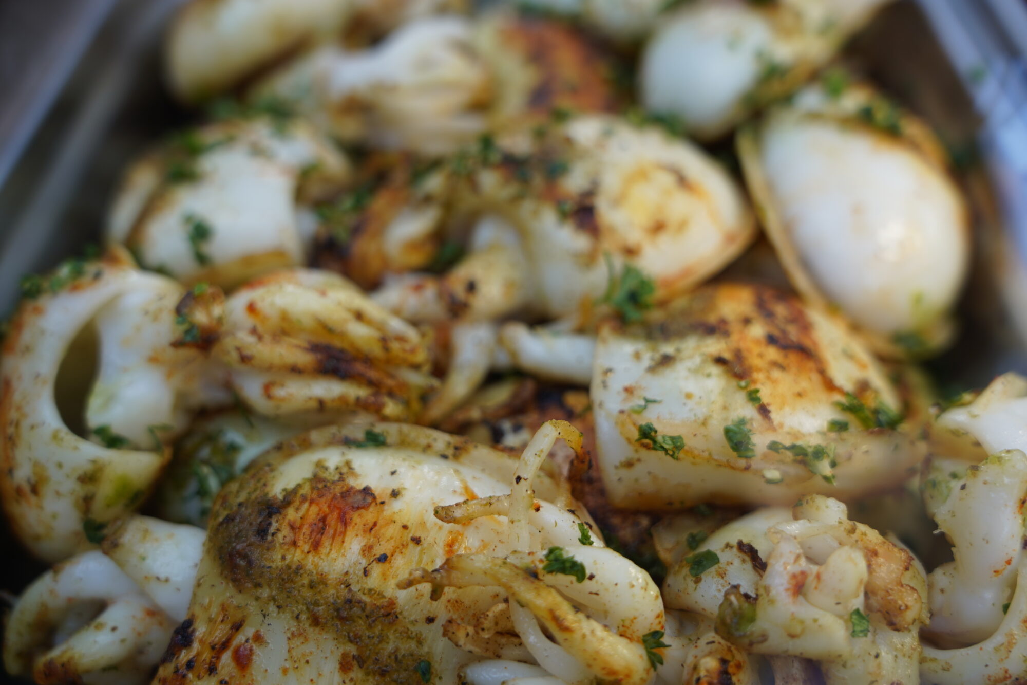 251117_CALAMARADE_FOURNIER-LAGARDE_9