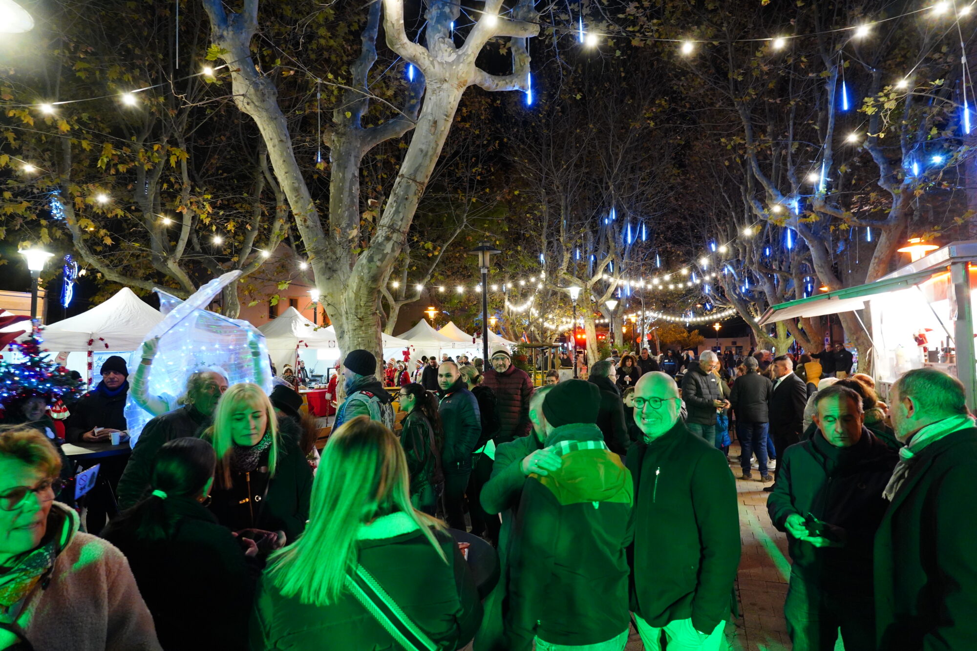 251127_OUVERTURE_FETE_FIN_ANNEE_DEFILE_BODEGA_ELU_NOEL_DELEMOTTE (104)