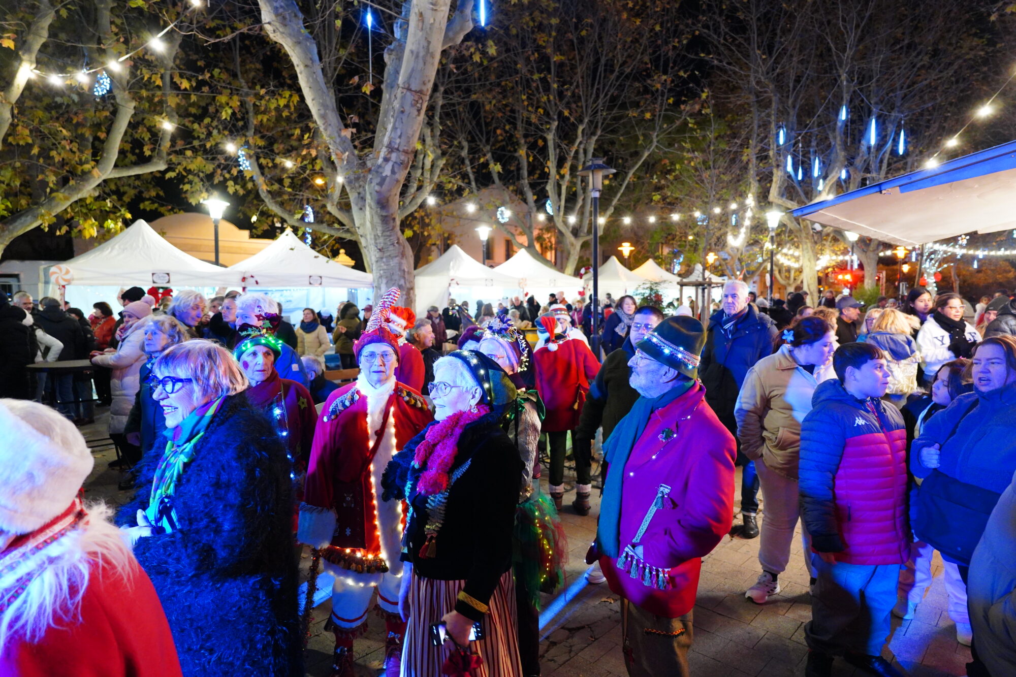 251127_OUVERTURE_FETE_FIN_ANNEE_DEFILE_BODEGA_ELU_NOEL_DELEMOTTE (113)