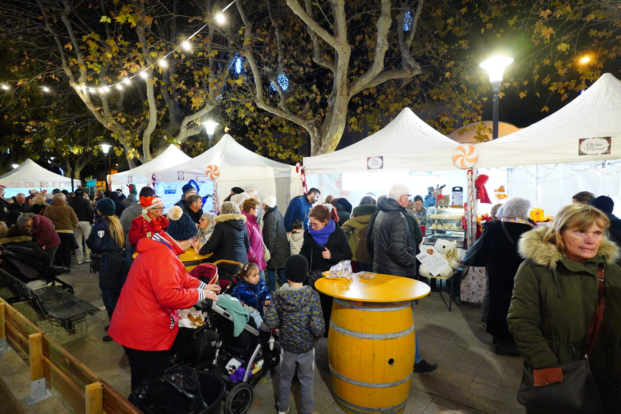 251127_OUVERTURE_FETE_FIN_ANNEE_DEFILE_BODEGA_ELU_NOEL_DELEMOTTE (119)