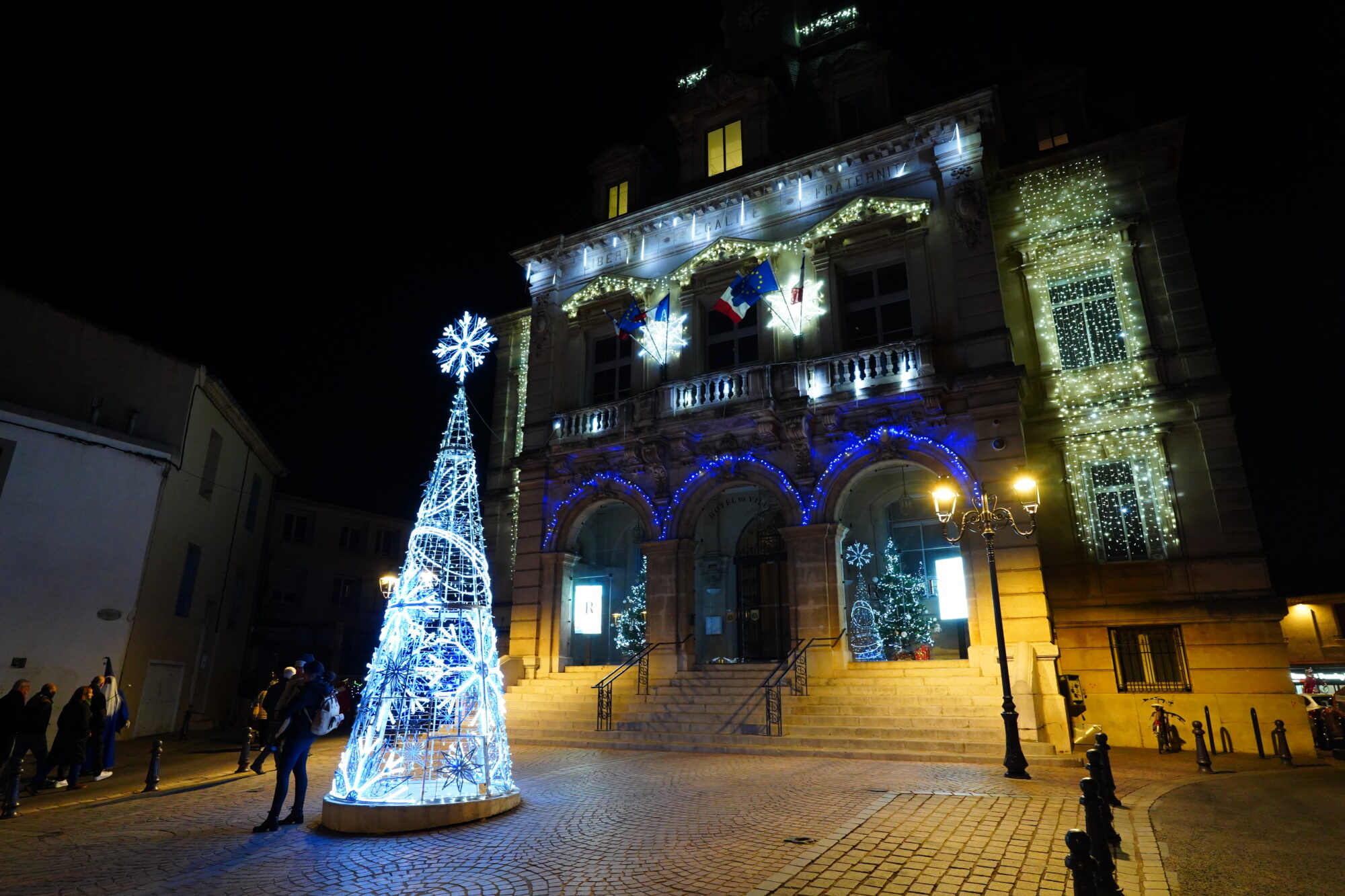 251127_OUVERTURE_FETE_FIN_ANNEE_DEFILE_BODEGA_ELU_NOEL_DELEMOTTE (54)