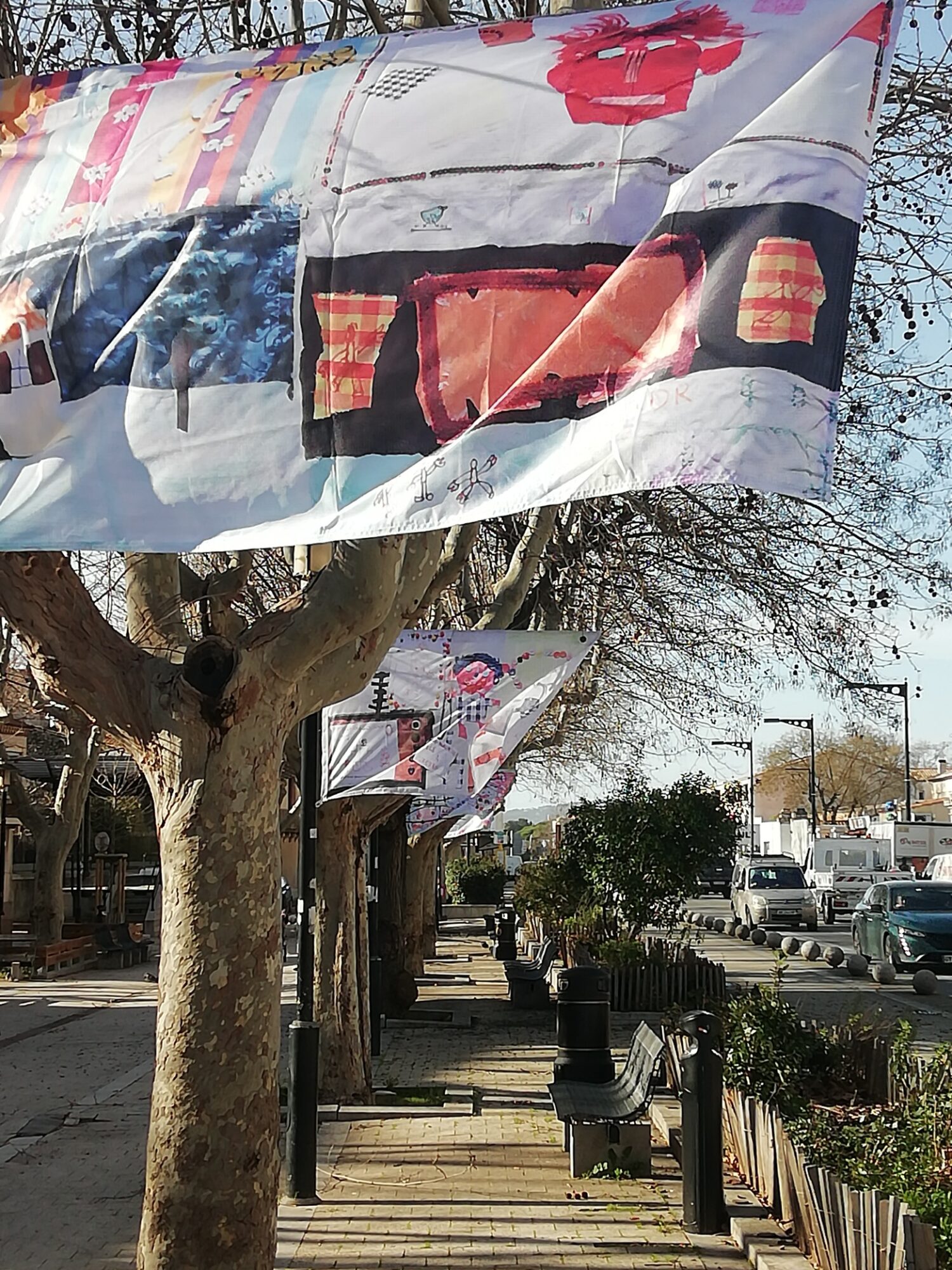 IMG_20260211_105051_resized_20260211_111324500