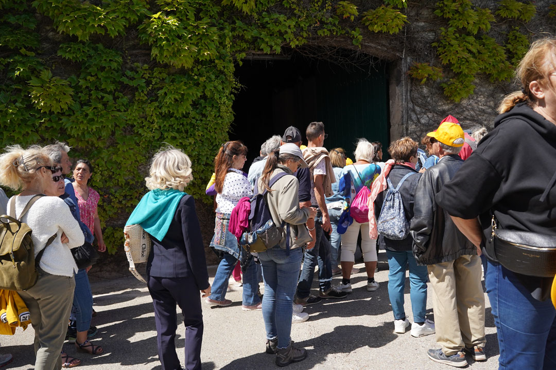 260517_BALADE_MUSCAROLE_DELEMOTTE (10)