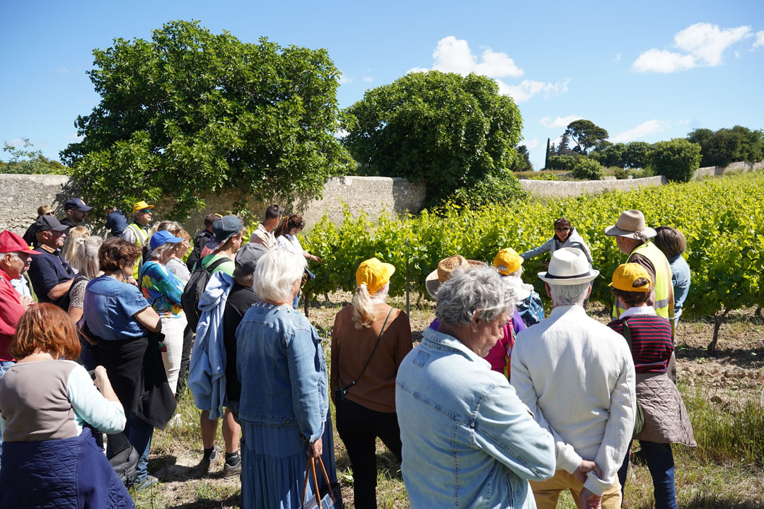 260517_BALADE_MUSCAROLE_DELEMOTTE (26)