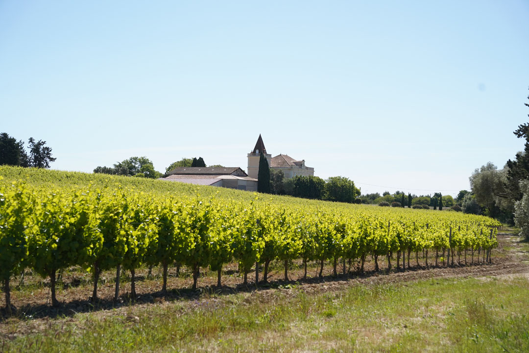 260517_BALADE_MUSCAROLE_DELEMOTTE (27)