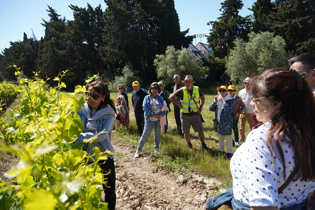 260517_BALADE_MUSCAROLE_DELEMOTTE (31)