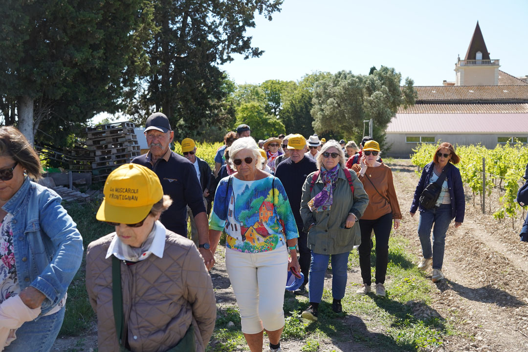 260517_BALADE_MUSCAROLE_DELEMOTTE (33)