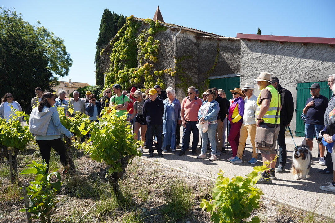 260517_BALADE_MUSCAROLE_DELEMOTTE (36)
