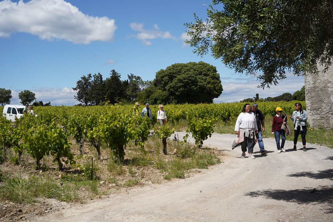 260517_BALADE_MUSCAROLE_DELEMOTTE (4)