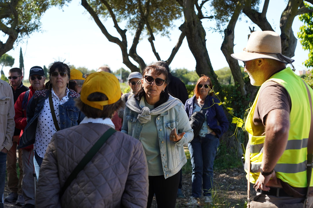 260517_BALADE_MUSCAROLE_DELEMOTTE (44)