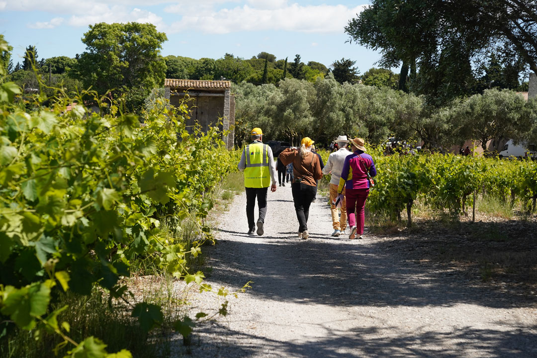 260517_BALADE_MUSCAROLE_DELEMOTTE (6)