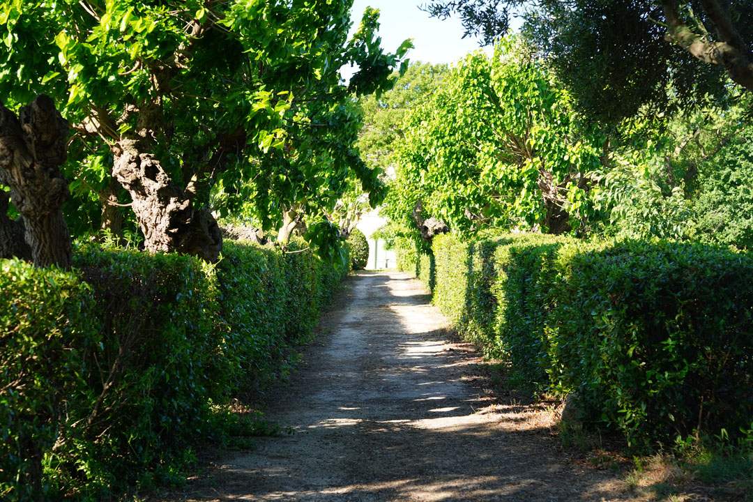 260517_BALADE_MUSCAROLE_DELEMOTTE (60)