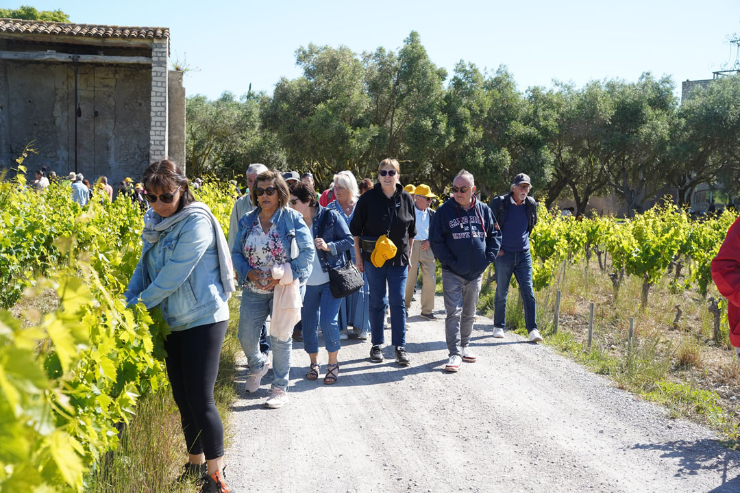 260517_BALADE_MUSCAROLE_DELEMOTTE (67)