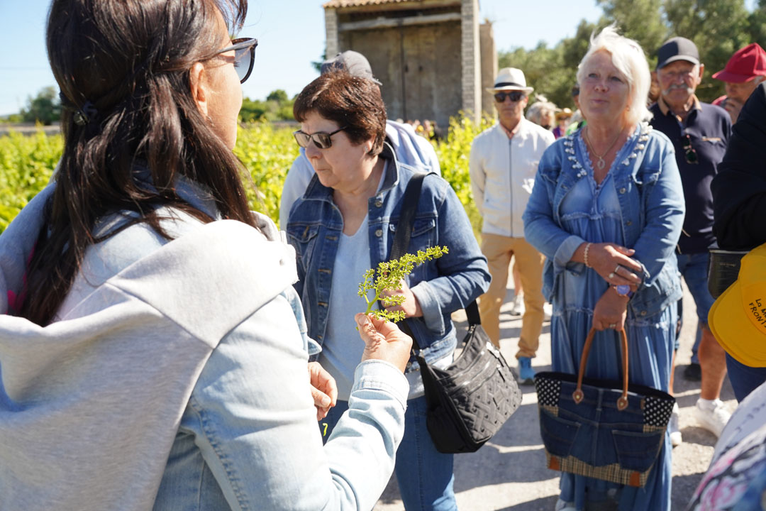 260517_BALADE_MUSCAROLE_DELEMOTTE (71)