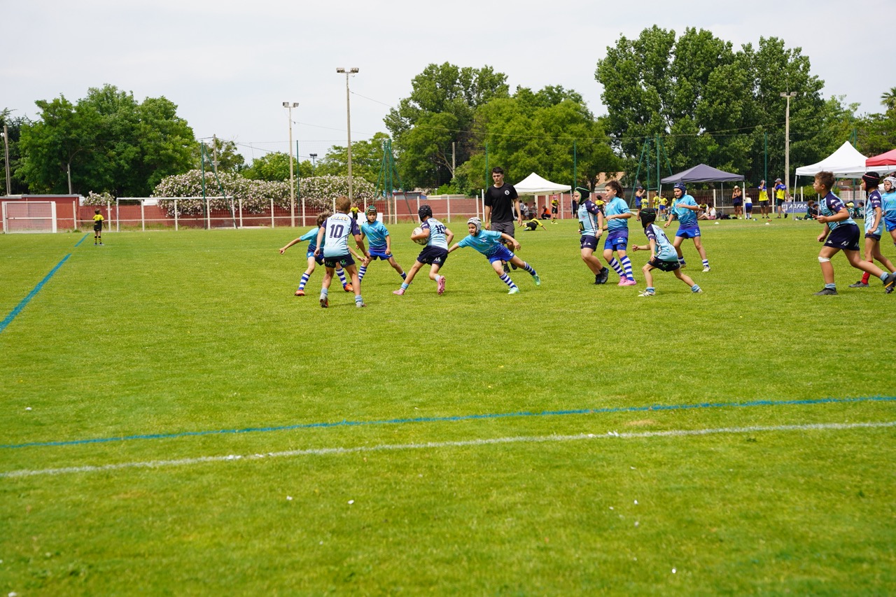 260530_TOURNOIS_DES_GEANTS_TRIGANO53 - Grande