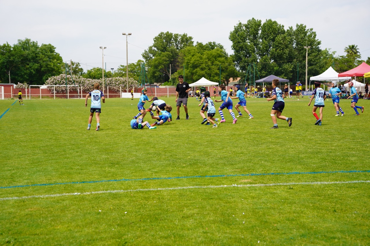 260530_TOURNOIS_DES_GEANTS_TRIGANO54 - Grande