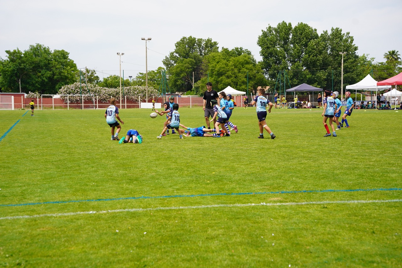 260530_TOURNOIS_DES_GEANTS_TRIGANO55 - Grande
