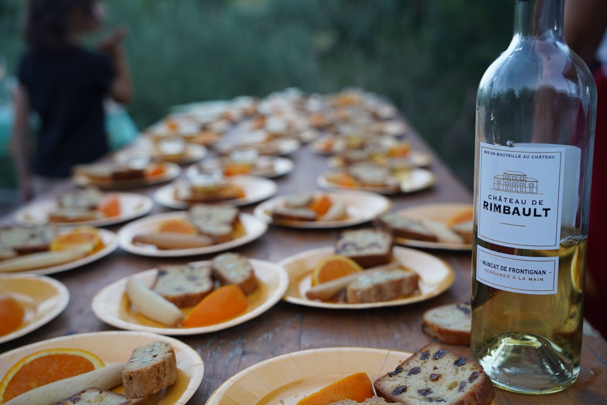 260613_REPAS_MAS_RIMBAULT_VIGNES_CINEMA_PORLAN (32)