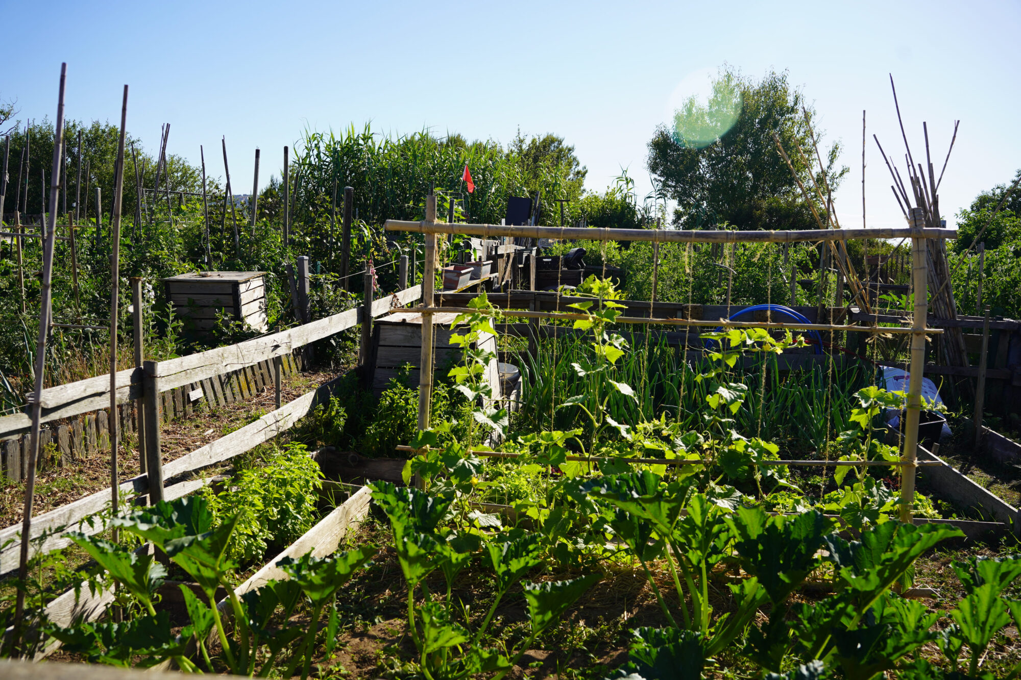 260618_ATELIER_BIODIVERSITE_JARDIN_MEREVILLE_ROUSTAN_4004