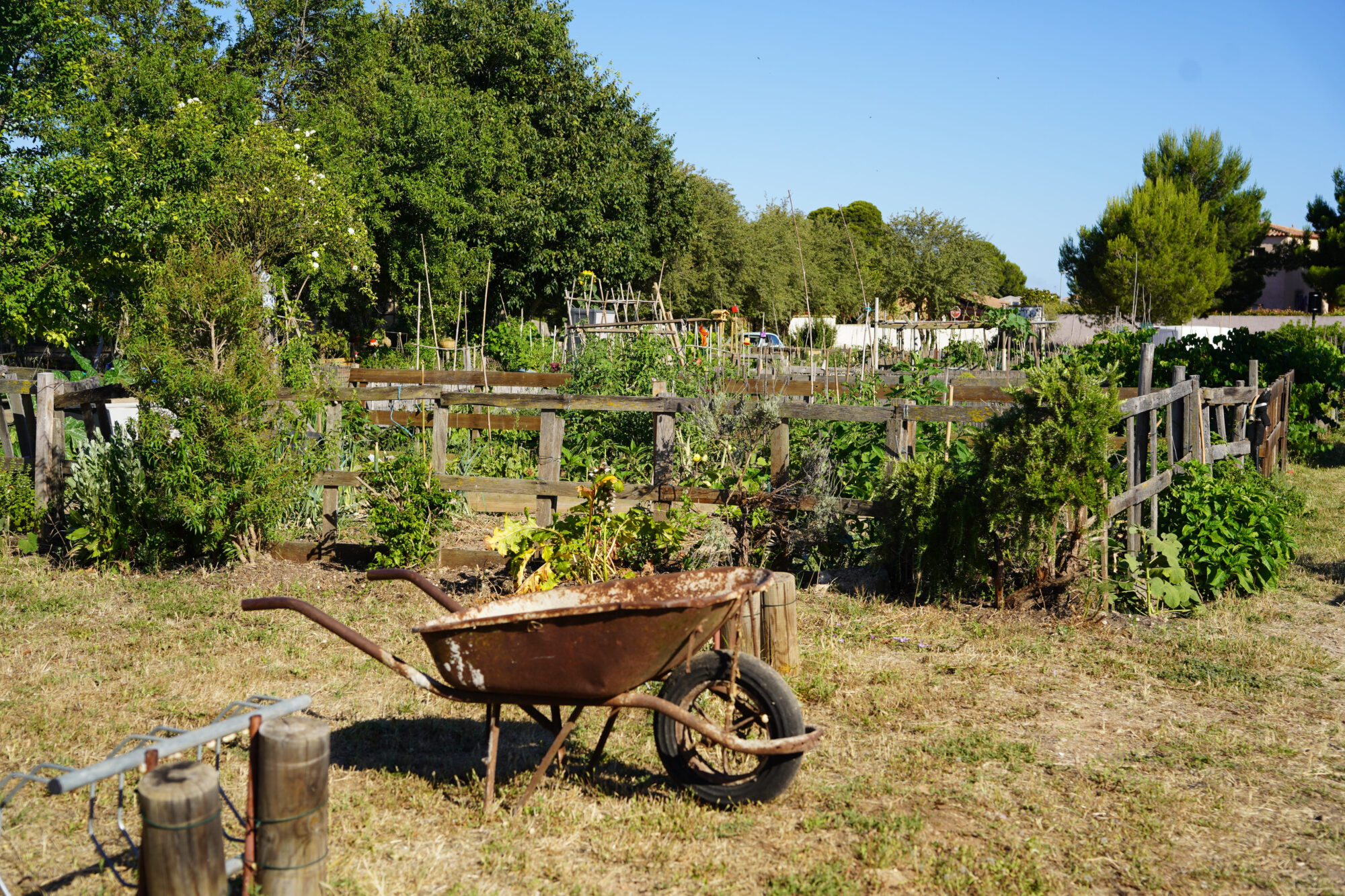 260618_ATELIER_BIODIVERSITE_JARDIN_MEREVILLE_ROUSTAN_4006