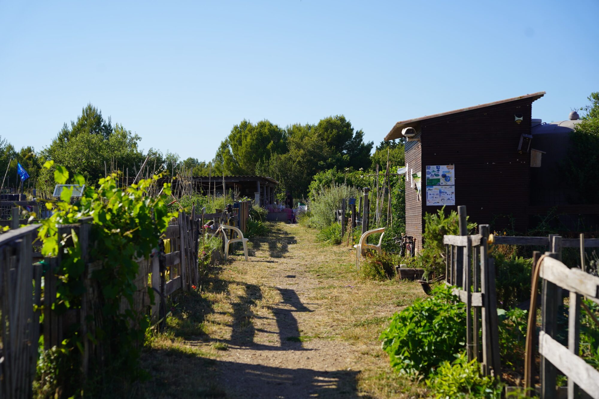 260618_ATELIER_BIODIVERSITE_JARDIN_MEREVILLE_ROUSTAN_4008