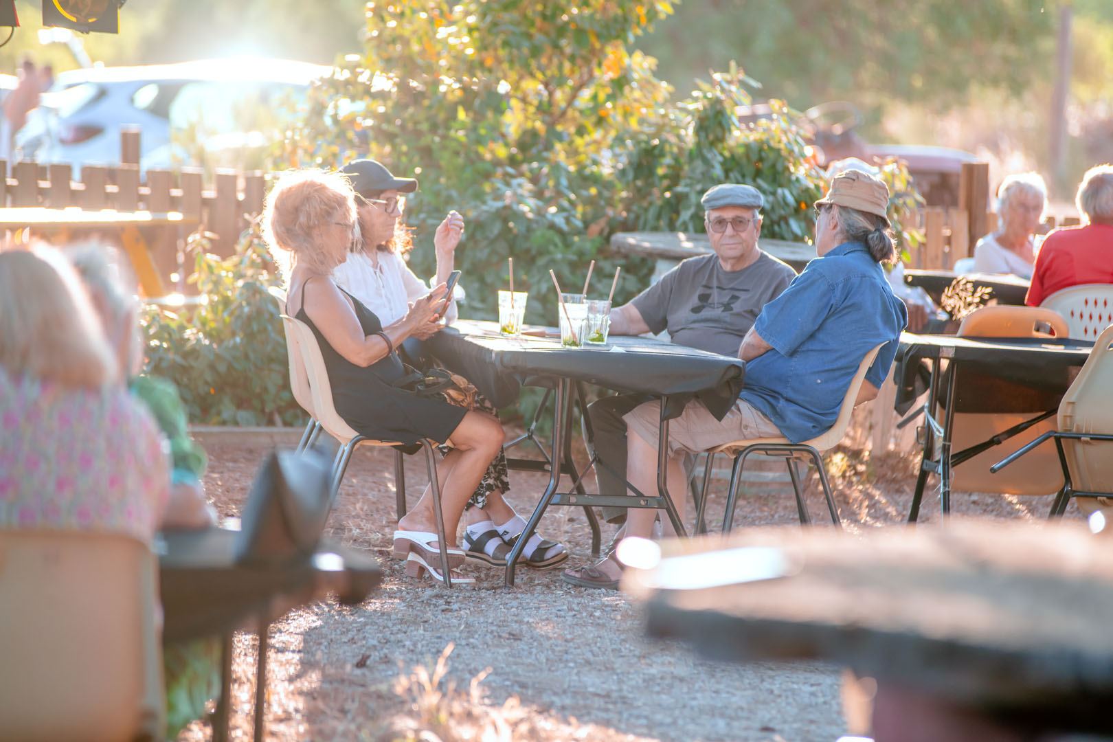 260703_un_chef_dans_les_vignes_molina1
