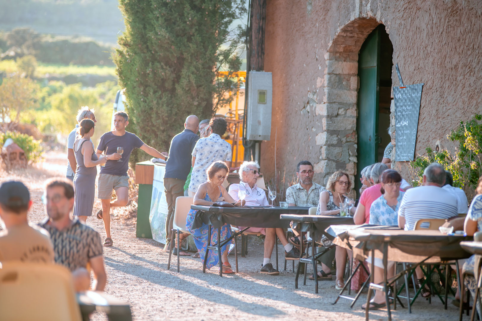 260703_un_chef_dans_les_vignes_molina2