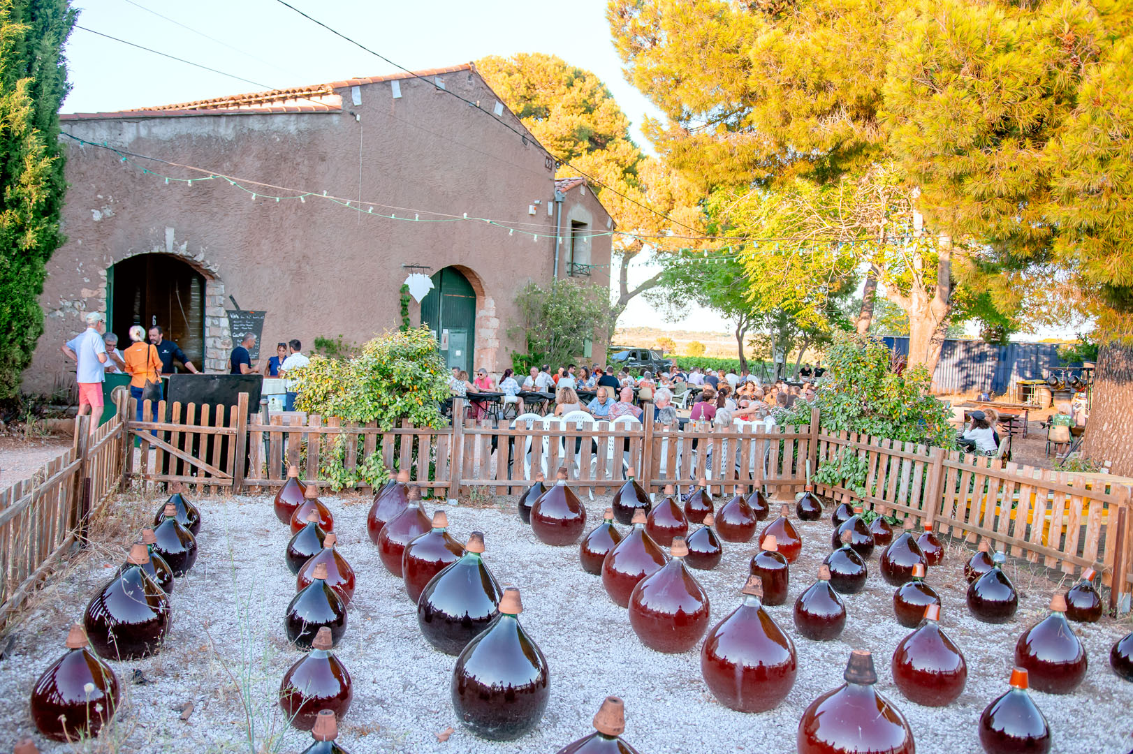 260703_un_chef_dans_les_vignes_molina24