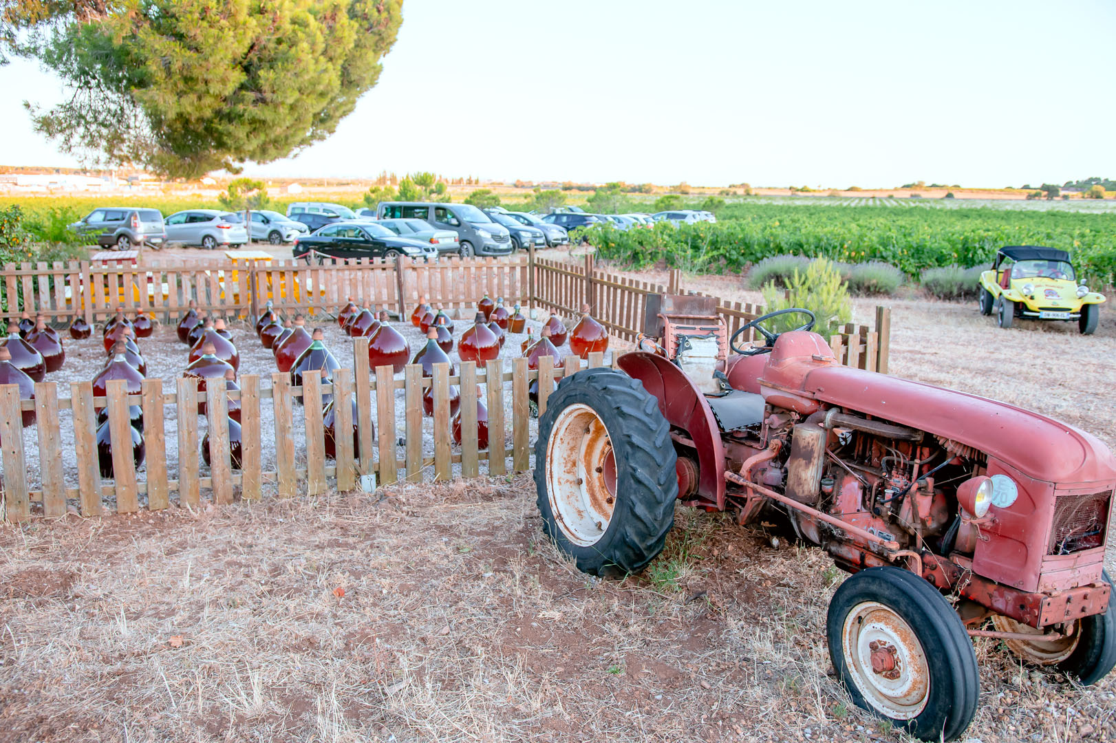 260703_un_chef_dans_les_vignes_molina25
